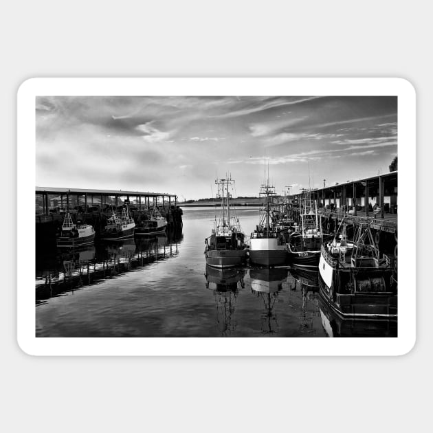 North Shields Fish Quay Sticker by Violaman